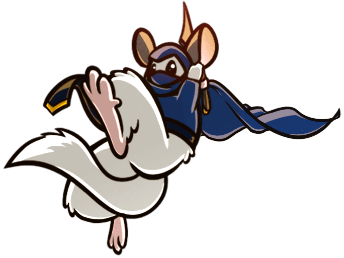 Assassin Chinchilla Character
